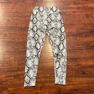 The Ascend Pant - Python